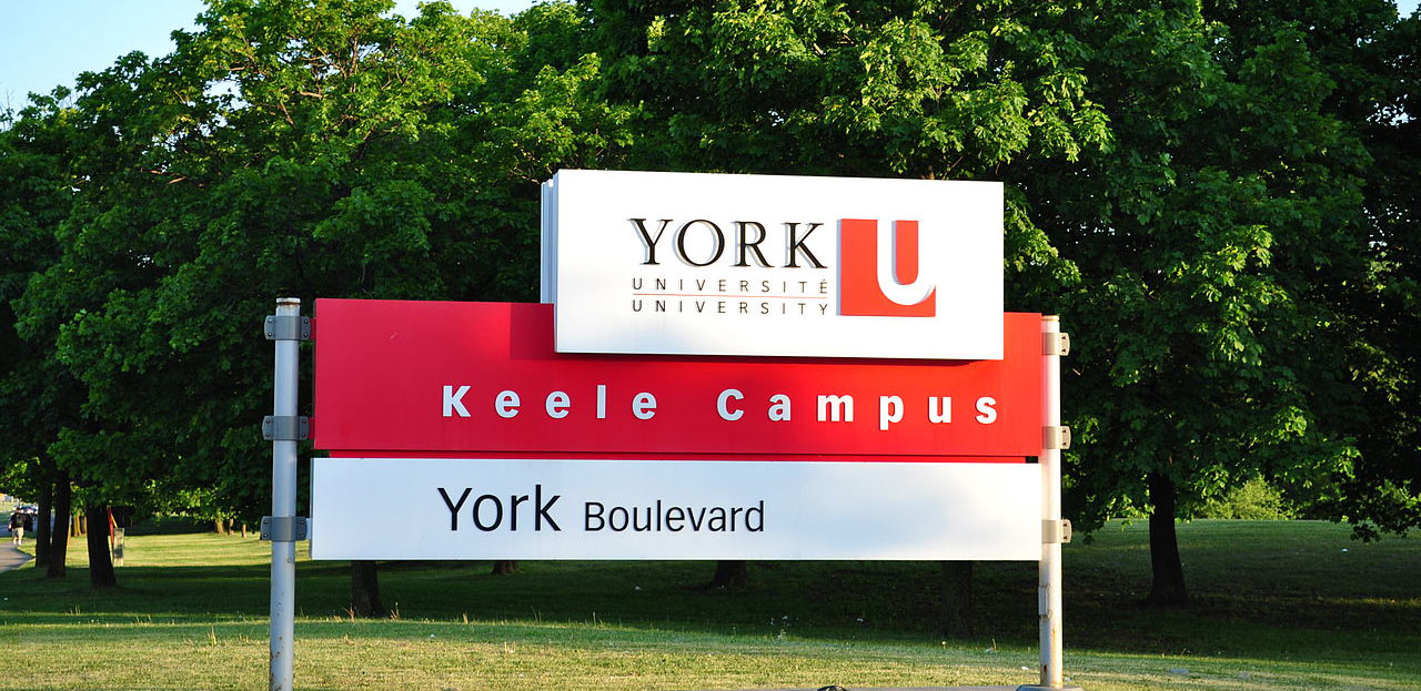 York University - data science