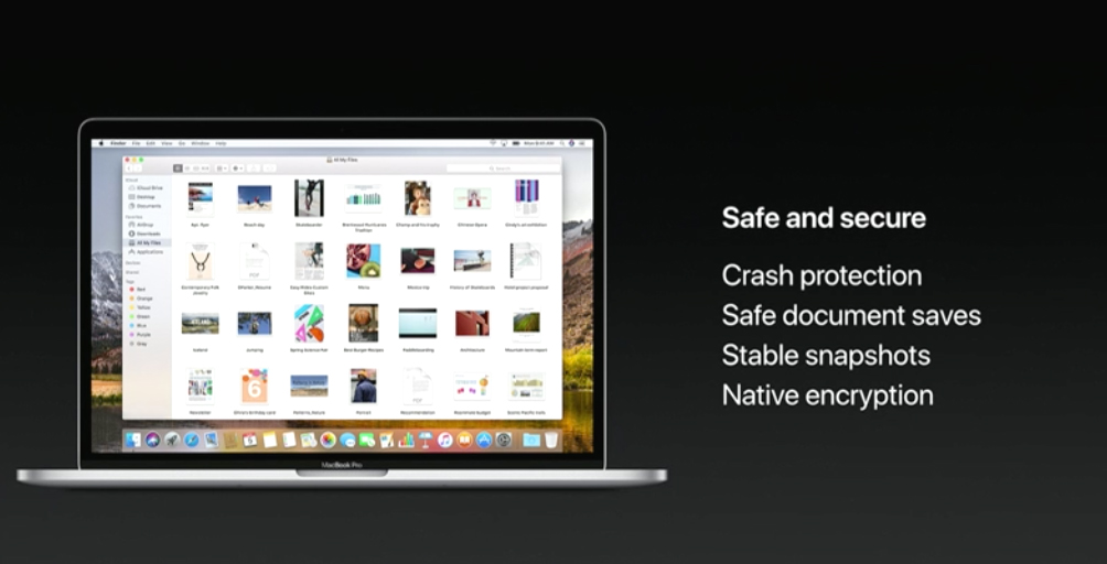 Apple secure macos file system