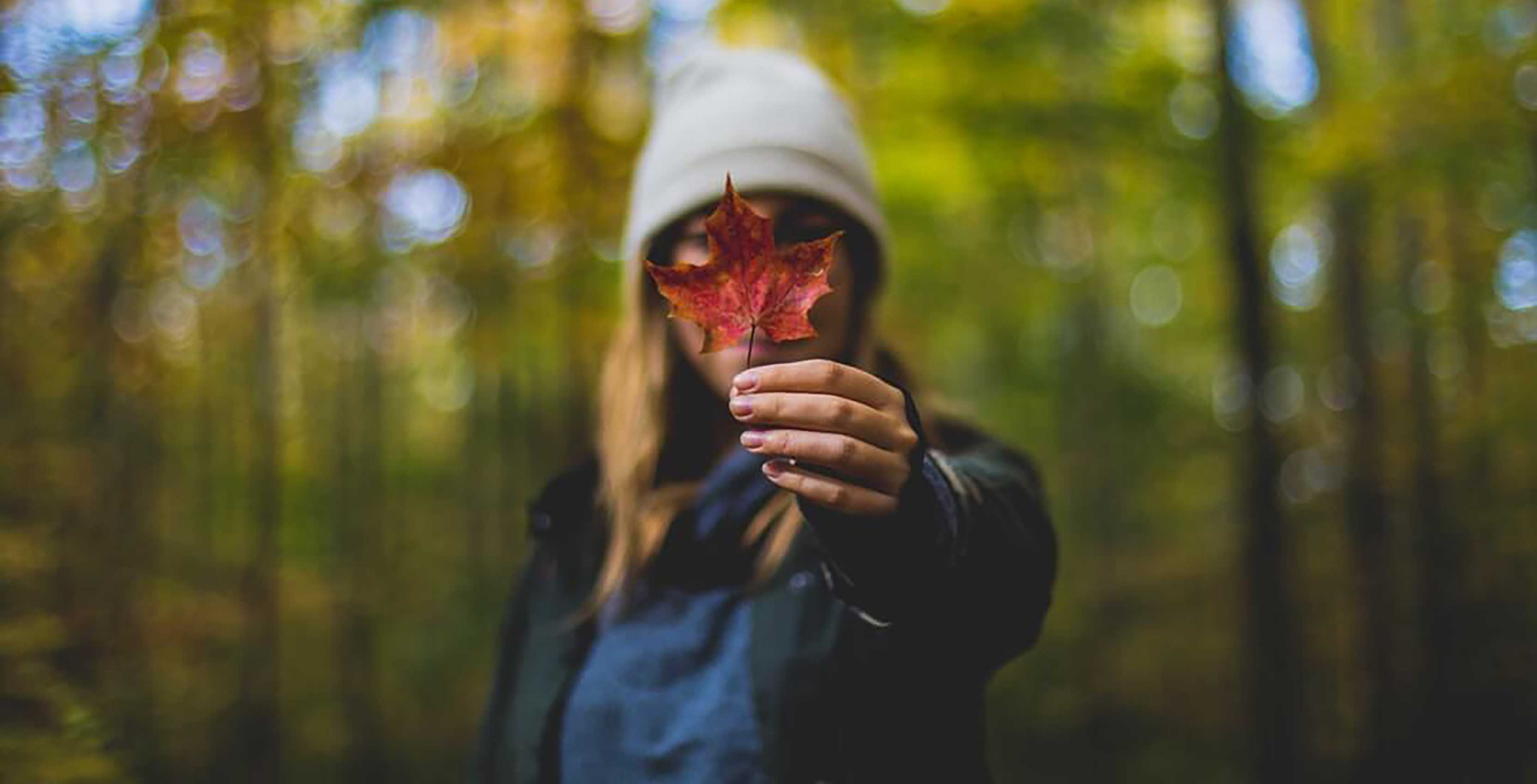 Maple leaf in hand