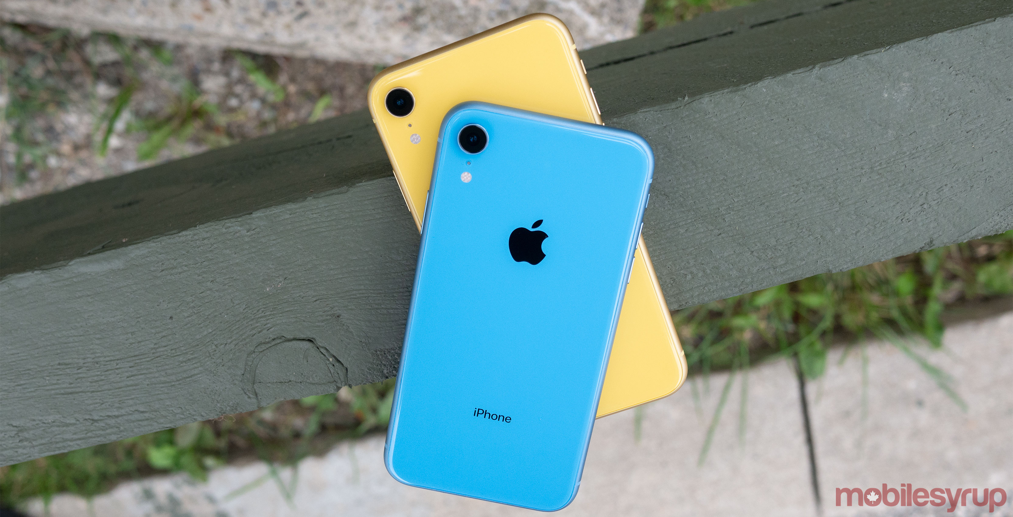 iPhone XR Blue and Yellow