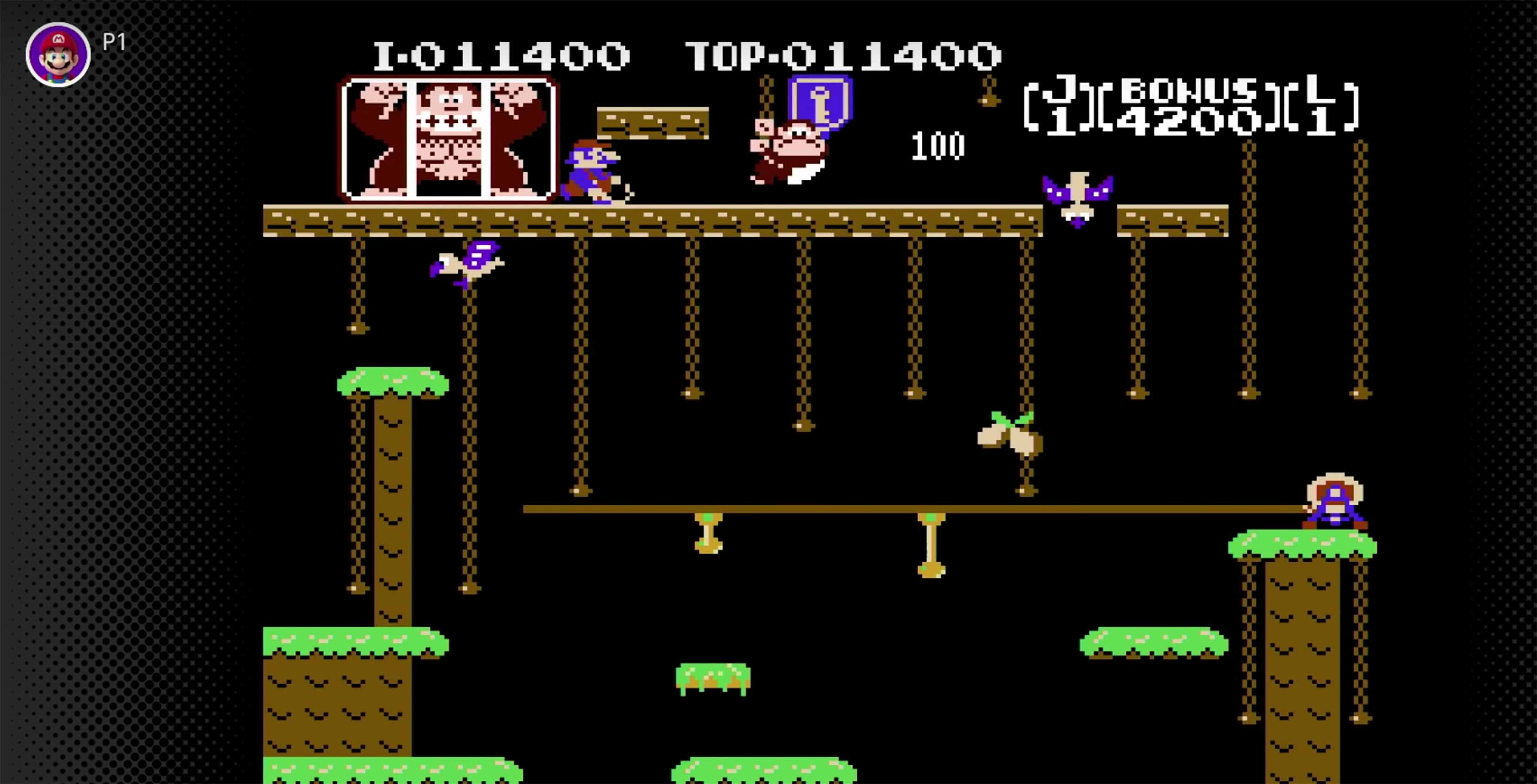 Donkey Kong Jr. gameplay