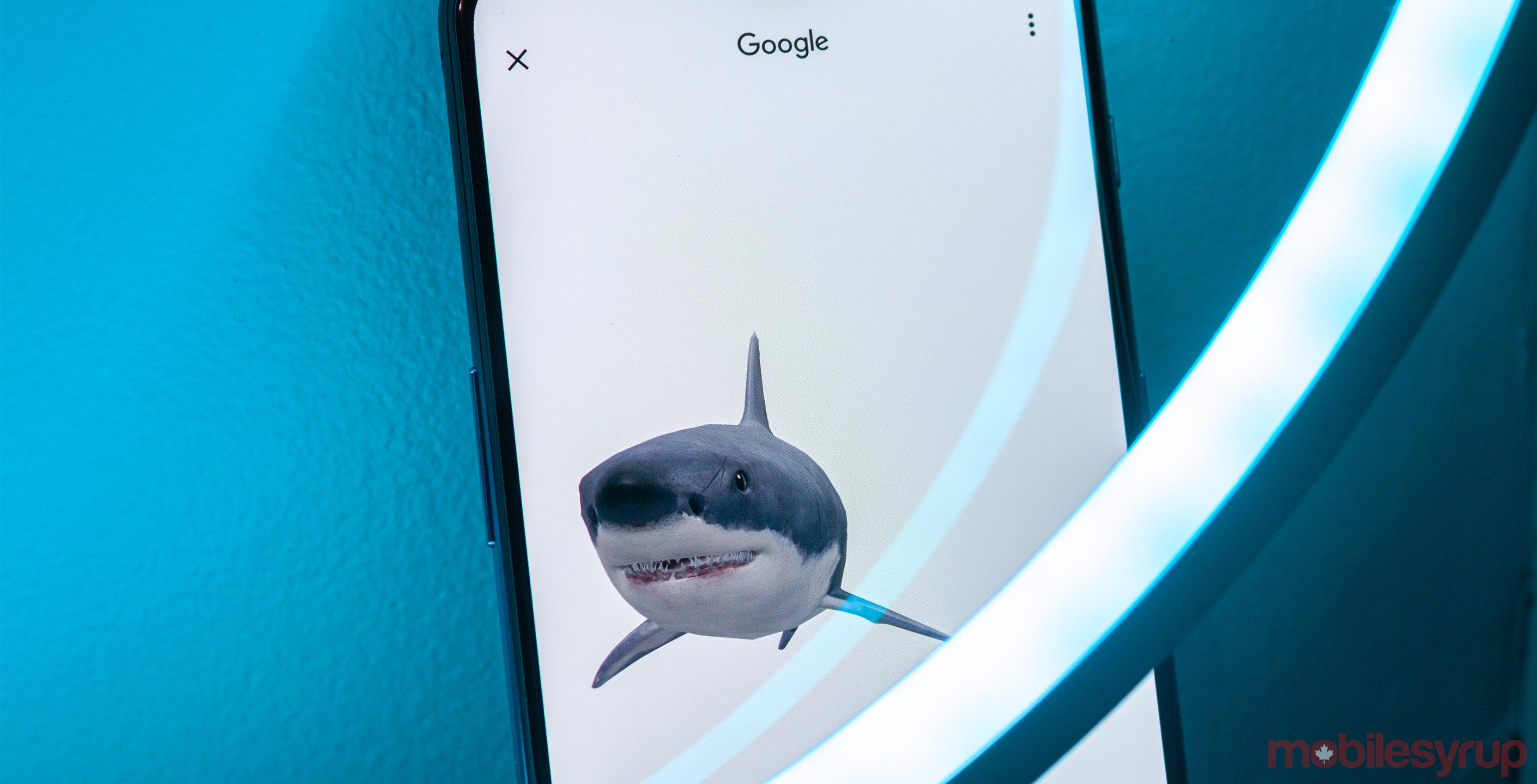 Great white shark Google AR animals