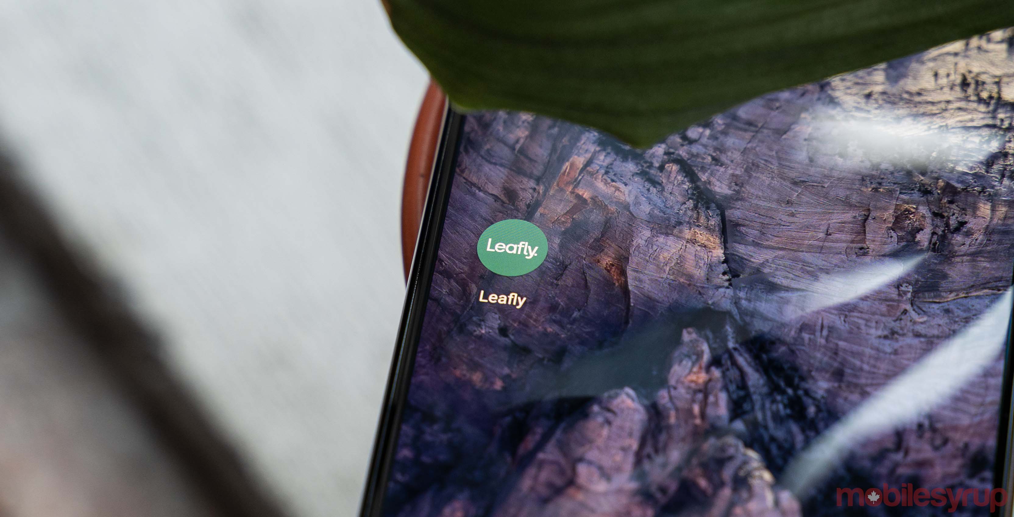 Leafly app