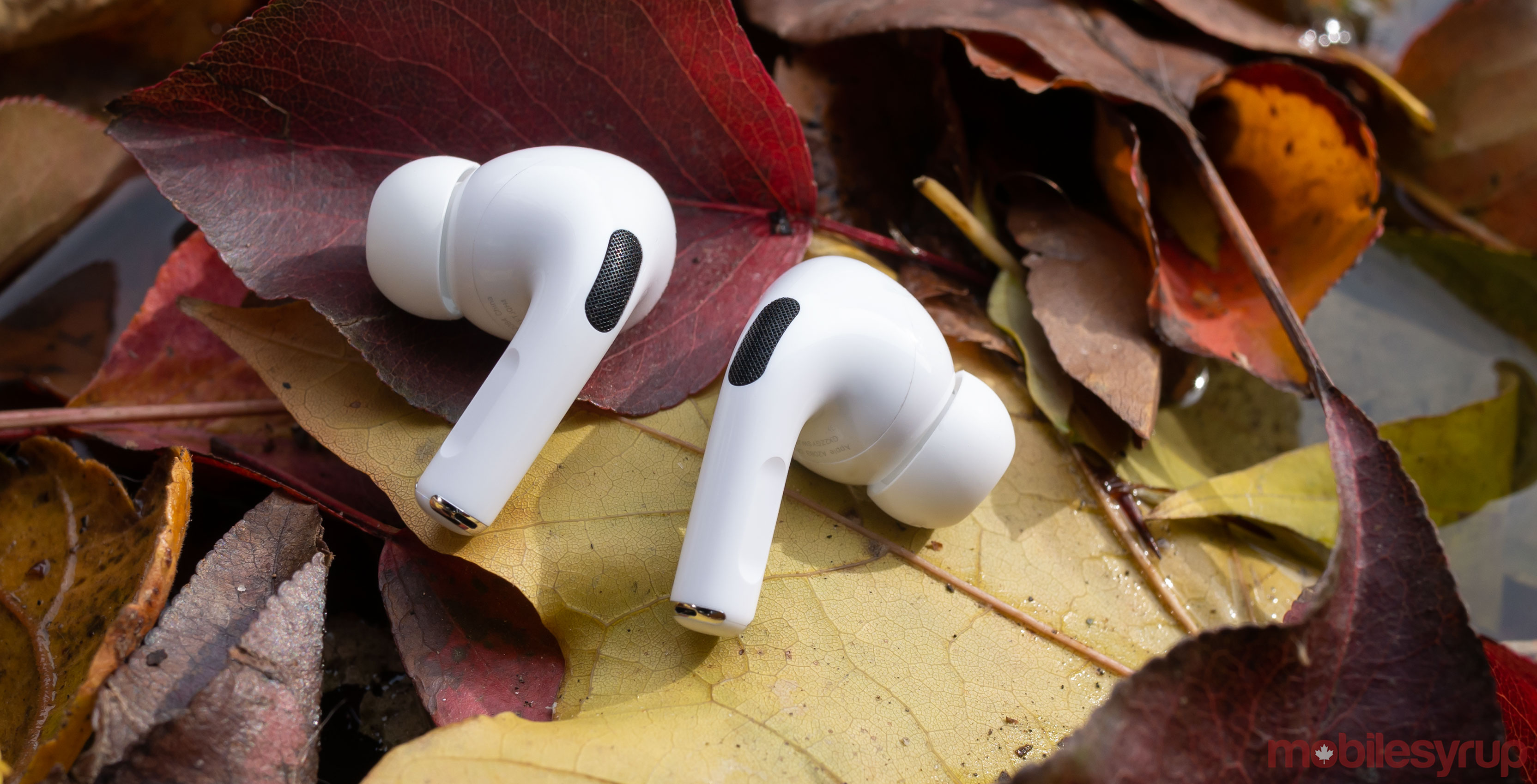AirPods Pro on leaves