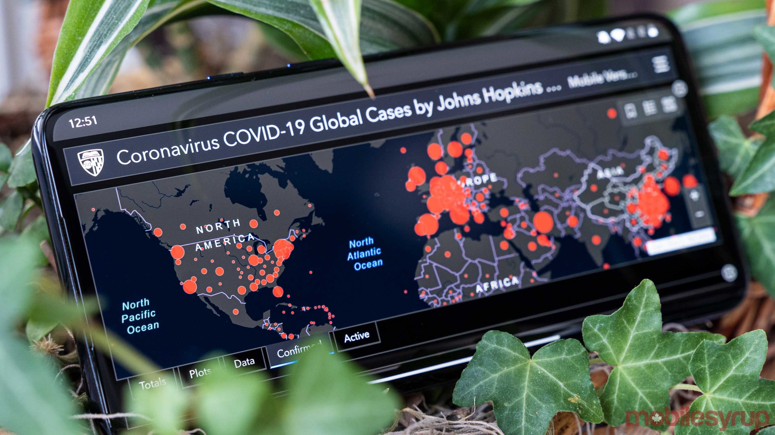 COVID-19 global cases